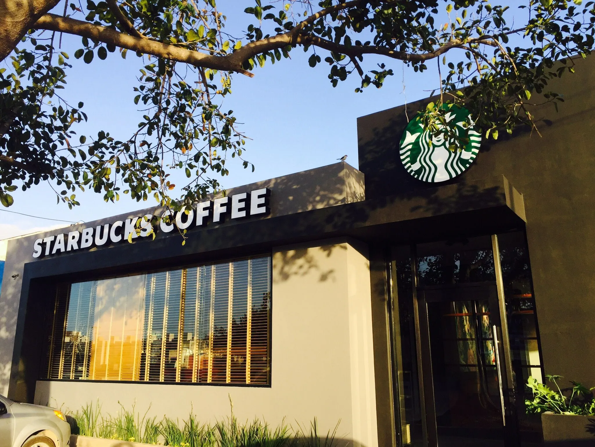 Starbucks en varias ubicaciones: Cozumel, Cumbres, Villamarino y Terminal 3 Cancún